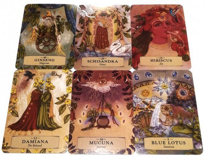 Оракул Трав'яної Астрології | Herbal Astrology Oracle 125085 фото
