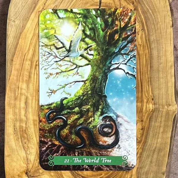 Набір "Таро Зеленої Відьми | The Green Witch Tarot" (карти + книга) 125045 фото