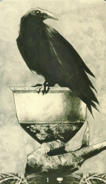 Таро Зграя Воронів - Murder of Crows Tarot 125097 фото